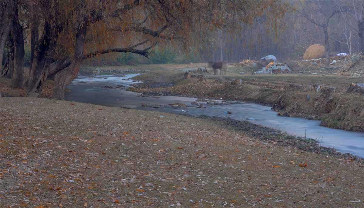 Golden autumn trees over a quiet stream in Swat Valley