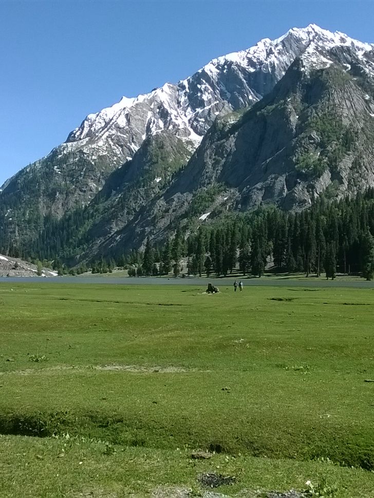 Green summer meadows below snow-capped peaks in upper Kalam Valley, Swat.
