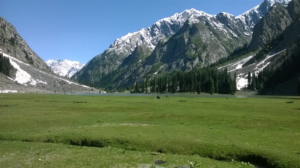Green summer meadows below snow-capped peaks in upper Kalam Valley, Swat.