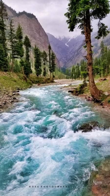Turquoise stream churning over rocks between pine slopes near Kalam