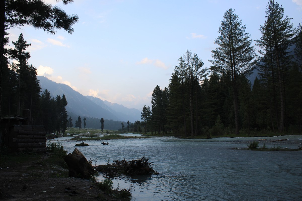 The Panjkora River flowing through deodar forest in Kumrat Valley