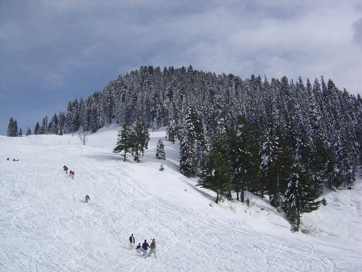 Broad ski slope at Malam Jabba below a snow-covered fir forest