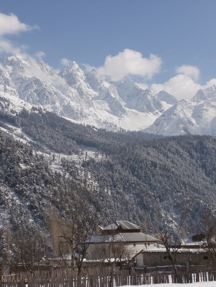 Snow-dusted pine forest and snow peaks above a house in Kalam Valley in winter.