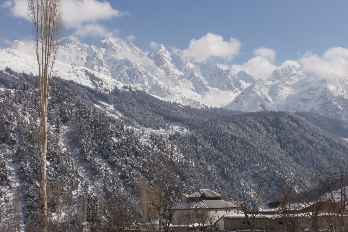 Snow-dusted pine forest and snow peaks above a house in Kalam Valley in winter.